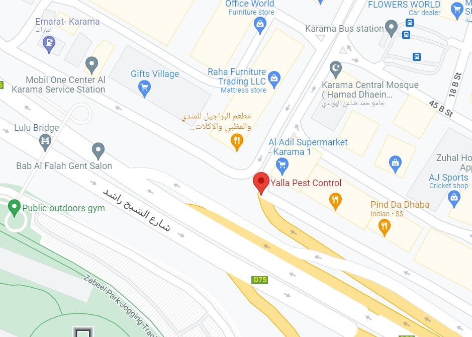 Yalla Map zzom 1-min