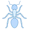 ant-256