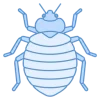 bed-bug-256
