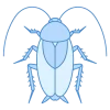 cockroach