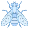 fly-256