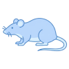 rodent-512