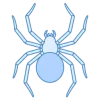 spider-256